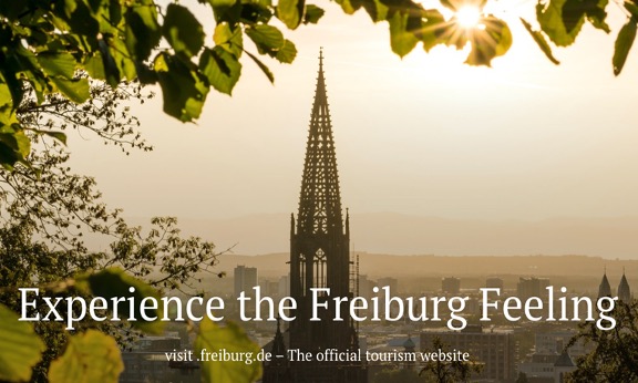 Link to Freiburg videos page